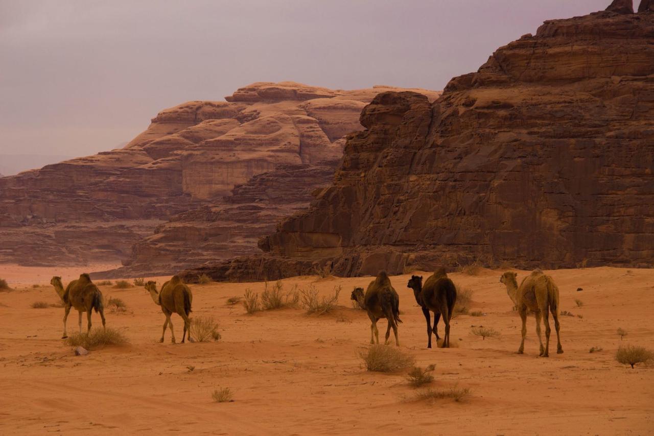 Wadi Rum Desert Secret Camp Exterior photo