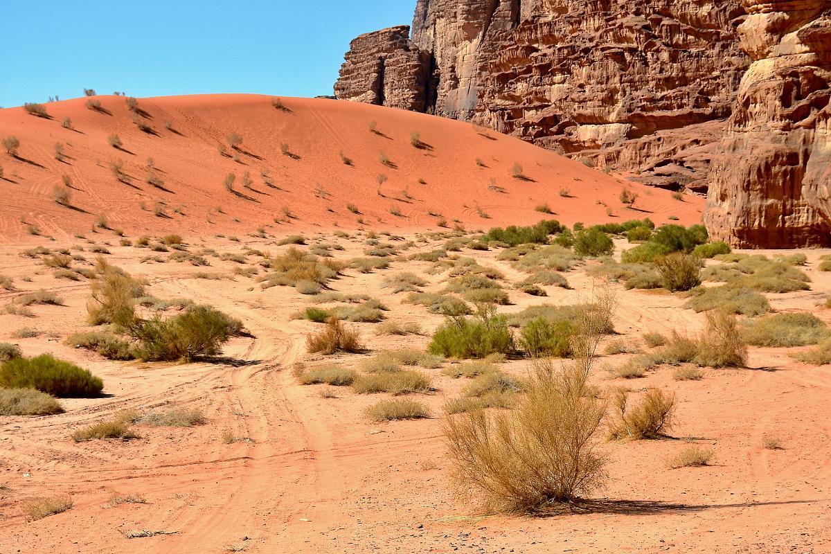 Wadi Rum Desert Secret Camp Exterior photo